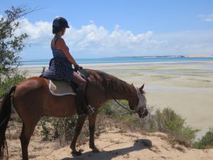 Rando cheval Mozambique