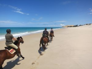 Rando Cheval Mozambique