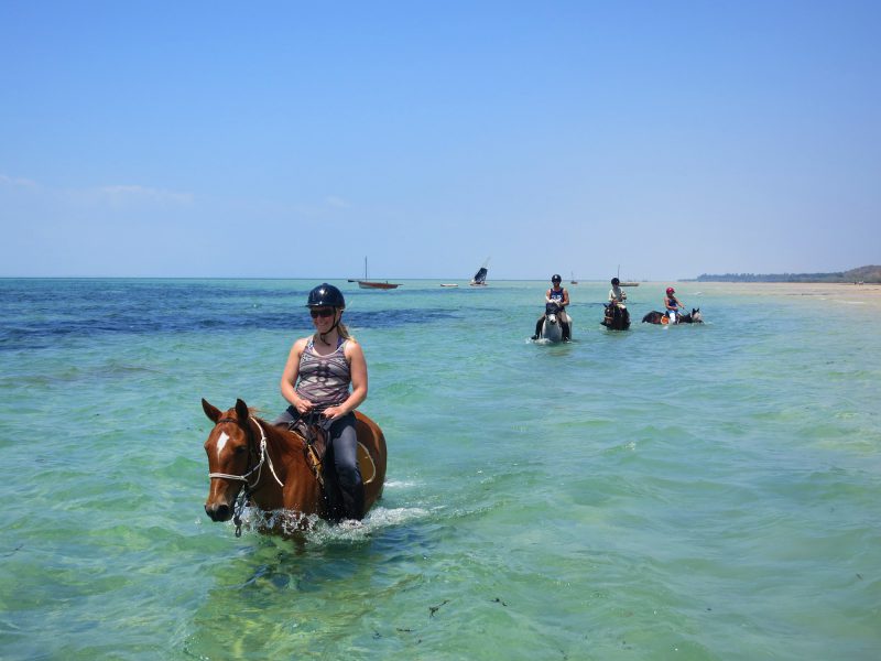 Rando Cheval Mozambique