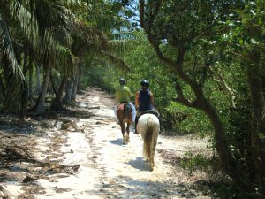 Rando Cheval Mozambique