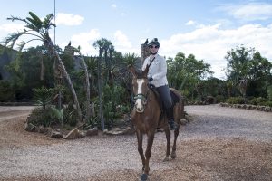 Safari en Afrique du Sud