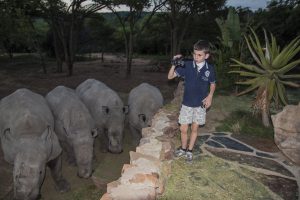 Safari en Afrique du Sud